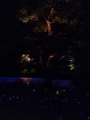 画像(180x240)・拡大画像(480x640)