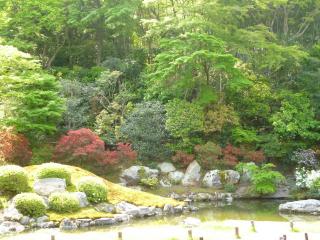 画像(320x240)・拡大画像(640x480)