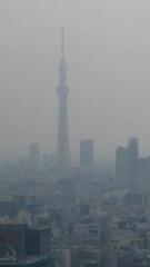 画像(135x240)・拡大画像(360x640)