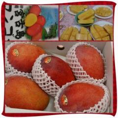 画像(240x240)・拡大画像(640x640)