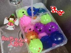 画像(240x180)・拡大画像(640x480)