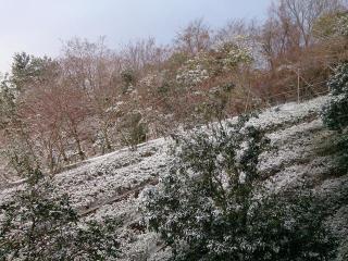 �摜(320x240)�E�g��摜(640x480)