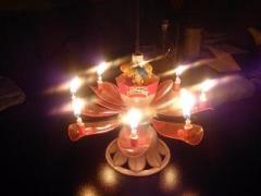 画像(240x180)・拡大画像(640x480)