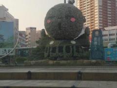 �摜(240x180)�E�g��摜(640x480)