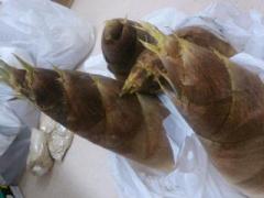 �摜(240x180)�E�g��摜(640x480)