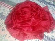 �摜(180x135)�E�g��摜(640x480)