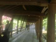 �摜(180x135)�E�g��摜(640x480)