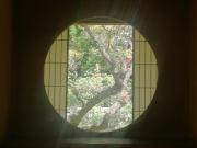 �摜(180x135)�E�g��摜(640x480)