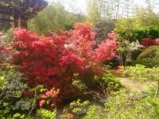 �摜(180x135)�E�g��摜(640x480)