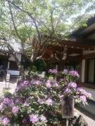 �摜(135x180)�E�g��摜(480x640)