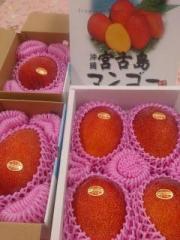 画像(180x240)・拡大画像(480x640)