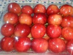 画像(240x180)・拡大画像(640x480)