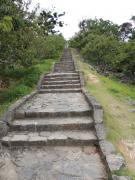 �摜(135x180)�E�g��摜(415x553)