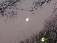 �摜(240x180)�E�g��摜(640x480)