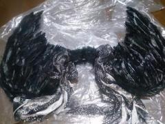 �摜(240x180)�E�g��摜(640x480)