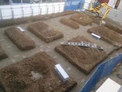 �摜(240x180)�E�g��摜(640x480)