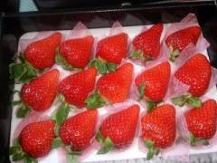 �摜(240x180)�E�g��摜(640x480)