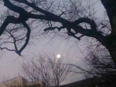 画像(240x180)・拡大画像(640x480)