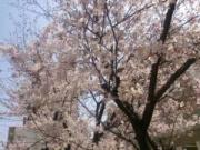 �摜(180x135)�E�g��摜(640x480)