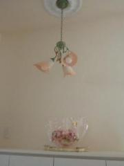 �摜(180x240)�E�g��摜(480x640)