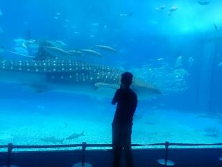 �摜(320x240)�E�g��摜(640x480)