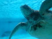 �摜(180x135)�E�g��摜(640x480)