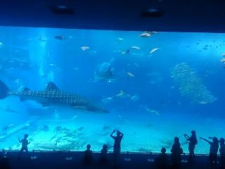 �摜(320x240)�E�g��摜(640x480)