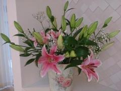 �摜(240x180)�E�g��摜(640x480)