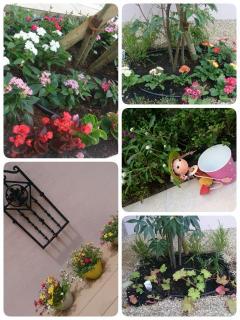 �摜(240x320)�E�g��摜(480x640)