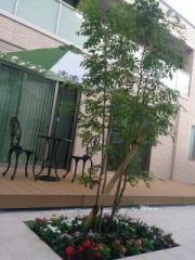 �摜(180x240)�E�g��摜(480x640)