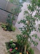 �摜(135x180)�E�g��摜(480x640)