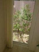 �摜(135x180)�E�g��摜(480x640)