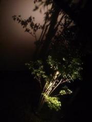 �摜(180x240)�E�g��摜(480x640)