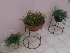 �摜(240x180)�E�g��摜(640x480)