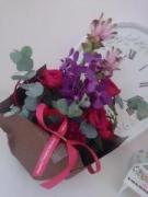 �摜(135x180)�E�g��摜(480x640)