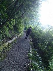 �摜(180x240)�E�g��摜(480x640)