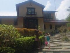 �摜(240x180)�E�g��摜(640x480)