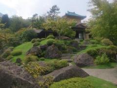 �摜(240x180)�E�g��摜(640x480)