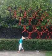 �摜(167x180)�E�g��摜(597x640)