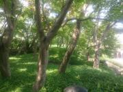 �摜(180x135)�E�g��摜(640x480)