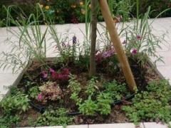 �摜(240x180)�E�g��摜(640x480)