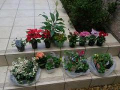 �摜(240x180)�E�g��摜(640x480)