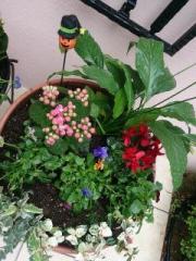 �摜(180x240)�E�g��摜(480x640)