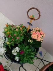 �摜(180x240)�E�g��摜(480x640)