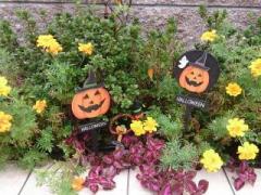 �摜(240x180)�E�g��摜(640x480)