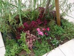 �摜(240x180)�E�g��摜(640x480)