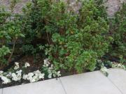 �摜(180x135)�E�g��摜(640x480)