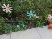 �摜(180x135)�E�g��摜(640x480)