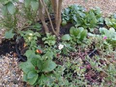 �摜(240x180)�E�g��摜(640x480)