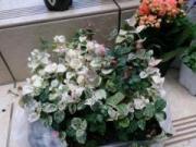 �摜(180x135)�E�g��摜(640x480)